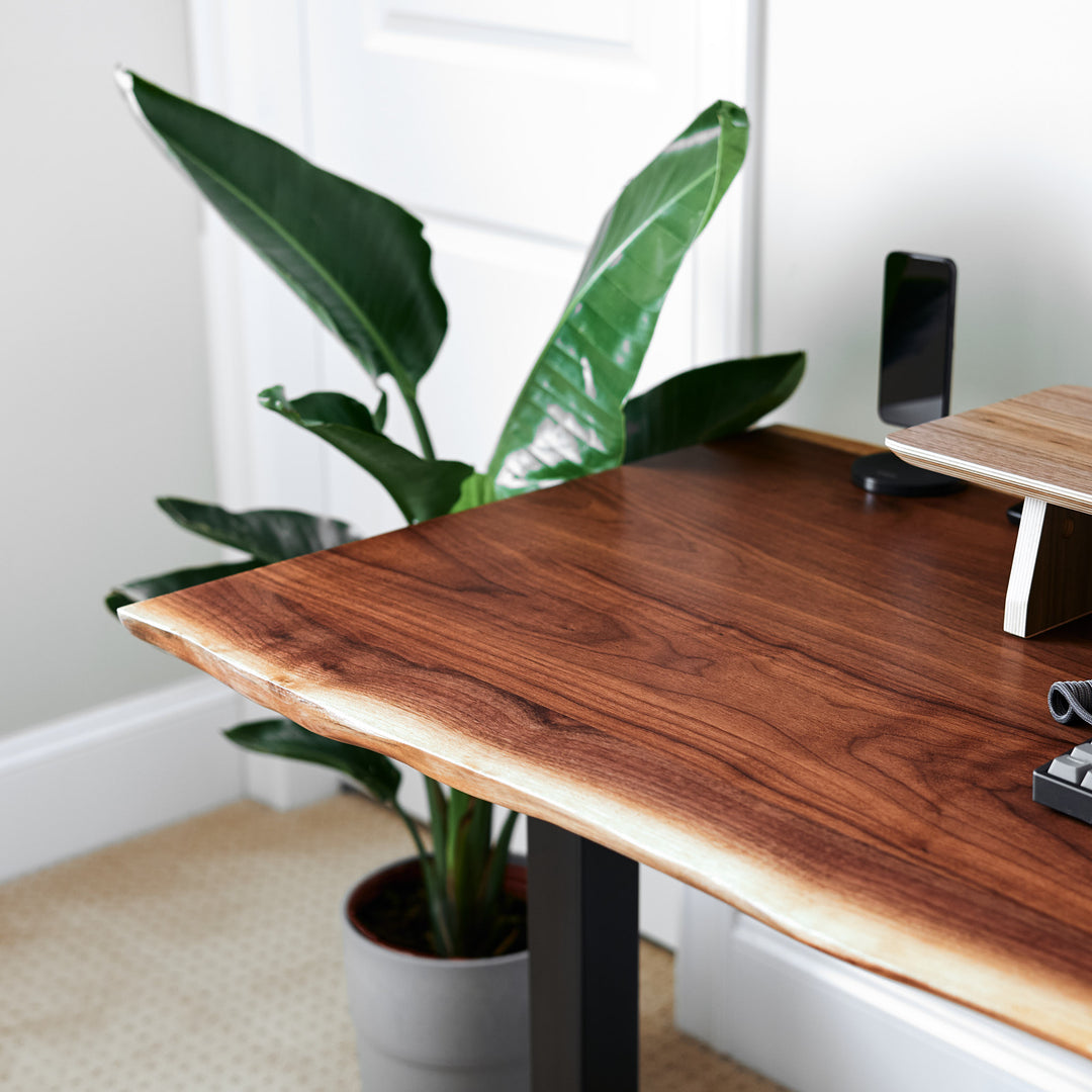 Edge One Standing Desk