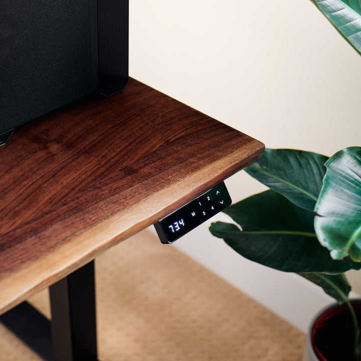 Edge One Standing Desk